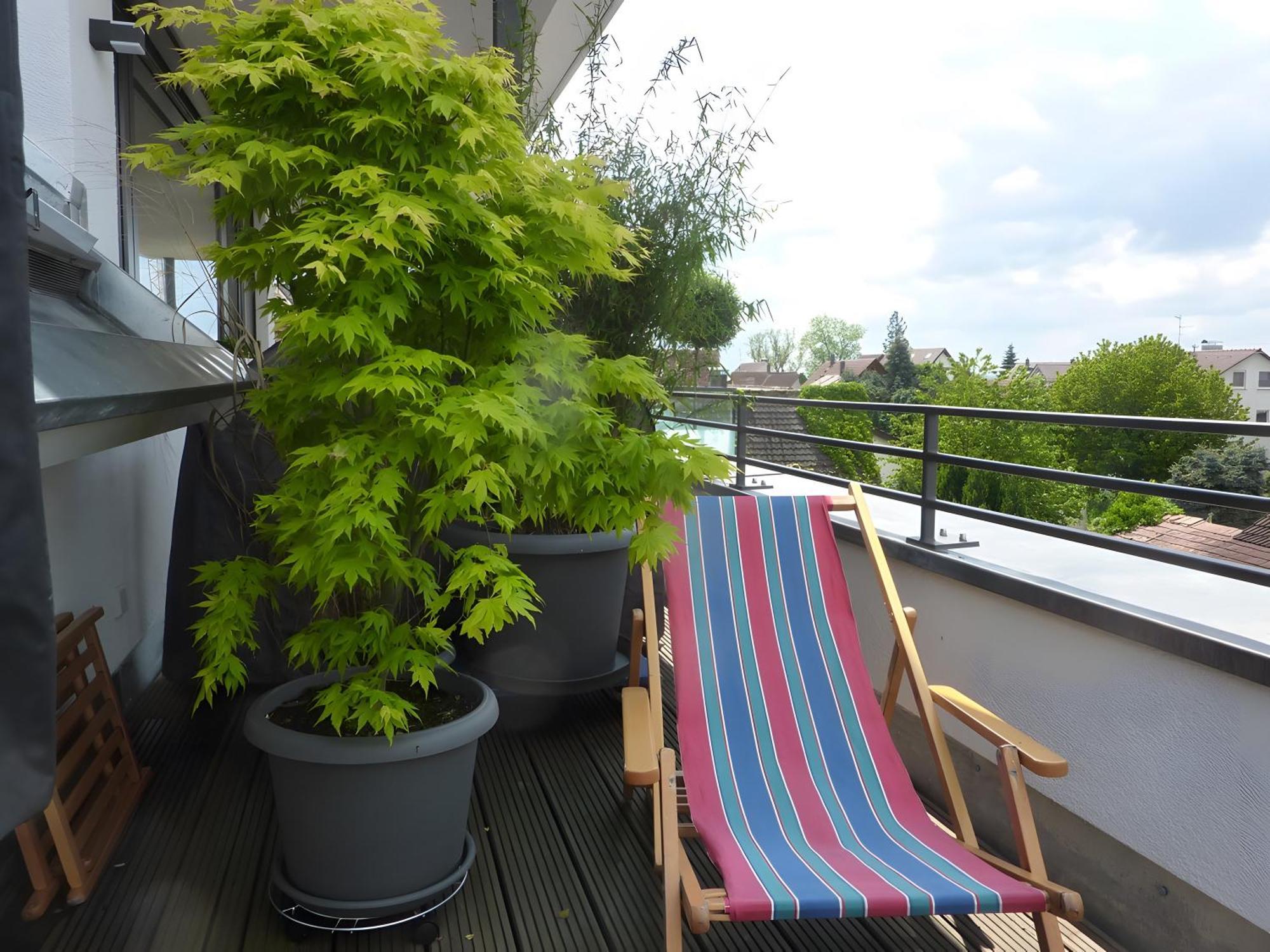 Appartement Kapps Haus à Langenargen Extérieur photo